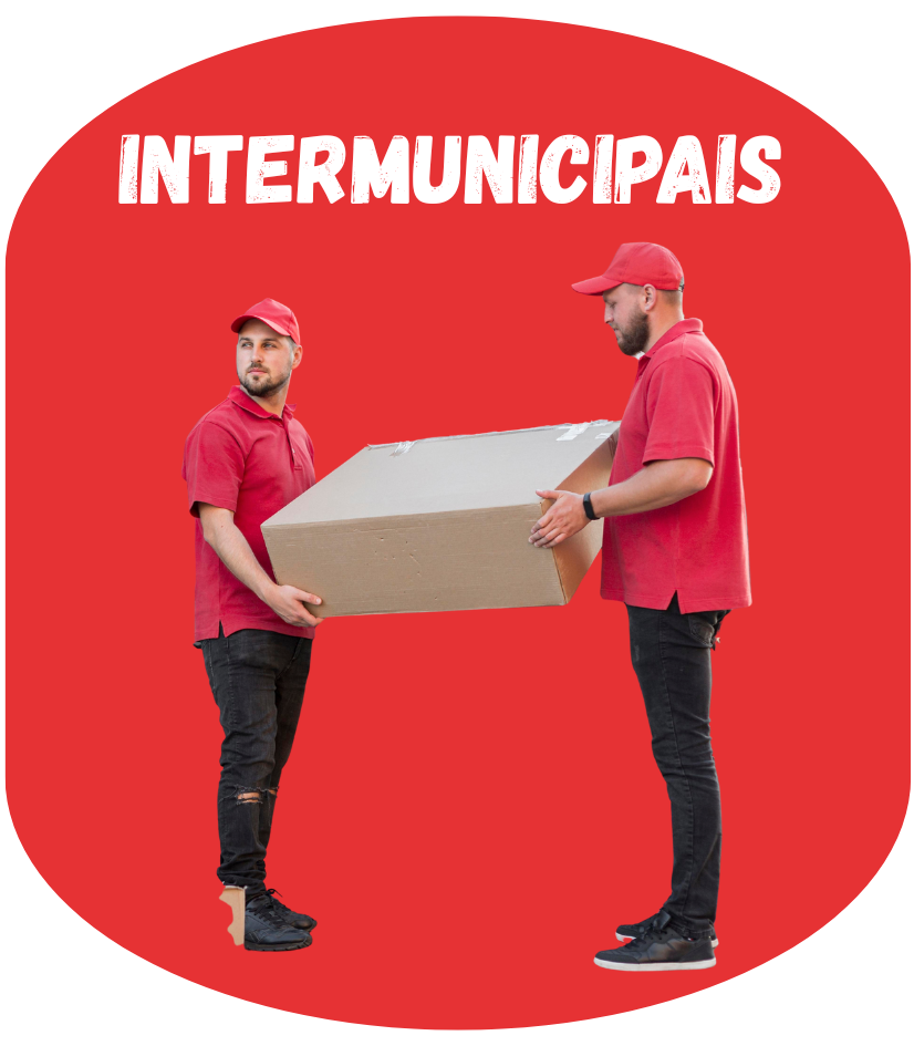 Mudanças Intermunicipais RJ - Stock Mudanças Rio de Janeiro