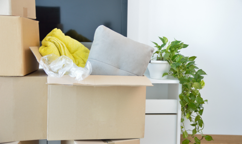 Mudanças Rio de Janeiro – Serviço Profissional, Seguro e Rápido