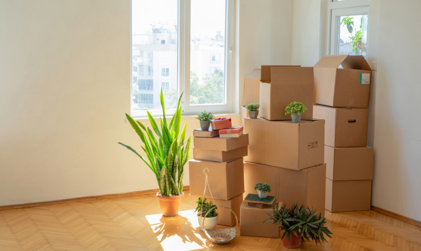 empresa de mudanças