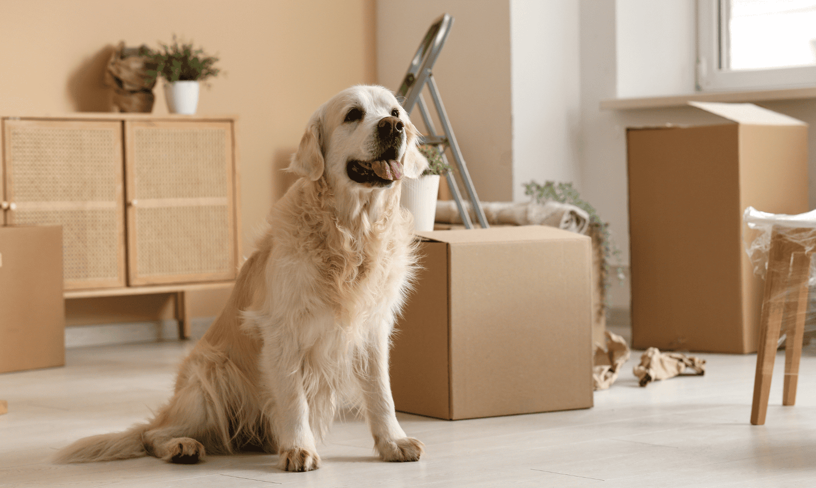 Mudanças Residenciais RJ em 2026